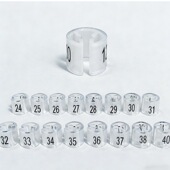 40双面印字衣架尺码 数字牛仔裤 扣24 尺码 标 子透明服装