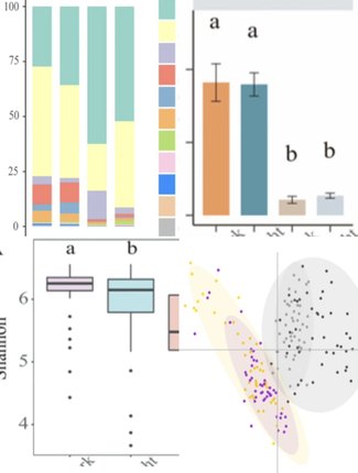 个人】r语言sas统计cox报告实证统计Go分析代码画图生信临床spss