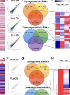 个人】r语言生信微生物logistic回归cox报告Geo实证分析作图画图