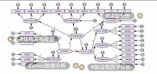 spss数据分析最小二乘路径模型SEM结构方程plspm/amos/pls问卷