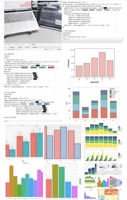 个人】r语言作图统计贝叶斯SAS/Spss数据挖掘分析回归stata