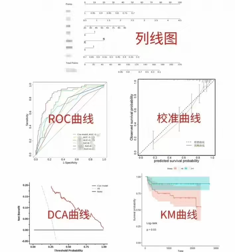 个人r语言医学绘图km生存曲线随机森林聚类热图数据处理相关性