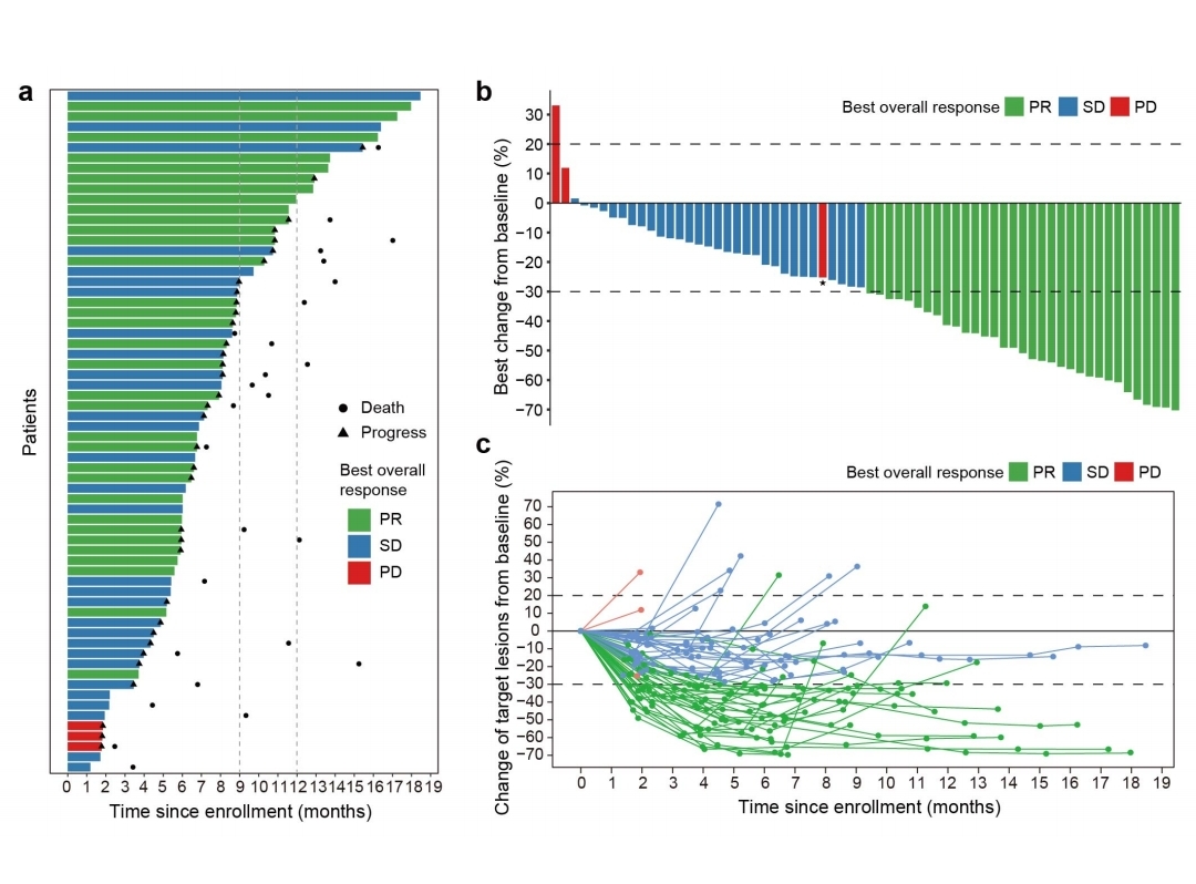 个人】r语言绘图医学统计微生物生存SPSS生信分析作图临床画图