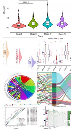 R语言统计代码画图绘图Python数据分析热图森林图ROC留学生回归