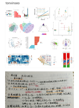 个人】留学生作业essay辅导写作英文商科会计金融统计生物医学美