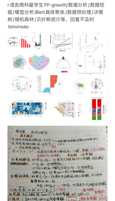 个人】留学生作业essay辅导写作英文商科会计金融统计生物医学美
