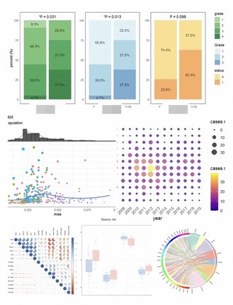 个人】r语言绘图文献生物信息热图火山图医学统计微生物生存SPSS