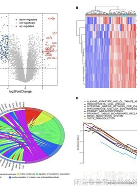 个人】r语言报告统计分析 985辅导作业作图实 战代码实证报告