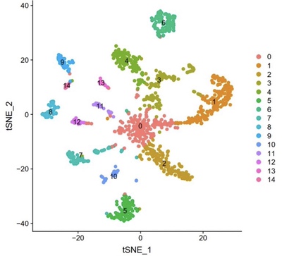 个人】r语言微生物转录组ROC校准曲线分析985信息作图实证报告