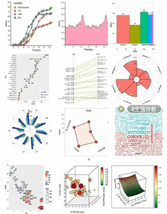r语言sas编程rstudio代写stata分析r语言报告spss统计python实证