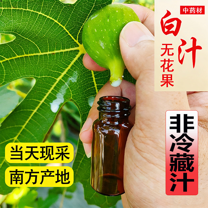 新鲜无花果叶白汁药用纯白原浆汁液扁平尤瘊猴子现挤现货10ml包邮
