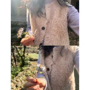 野梨树下  自留款纯羊毛麂皮绒皮毛一体马甲宽松保暖短款圆领外套