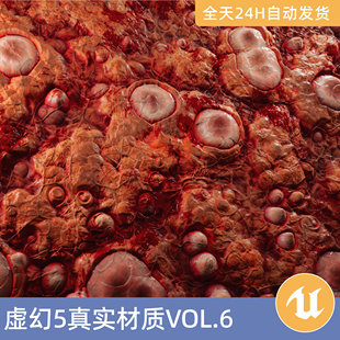 UE5虚幻5素材资产材质与纹理4K真实材质VOL.6-奇异有机物生化皮肤