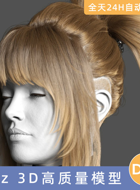 Daz3D素材模型资源头发dForce Kunoichi UpdoHairforGenesis9盘发