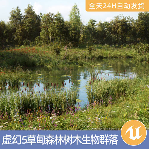 UE5虚幻5素材模型场景资产环境MW草甸森林树木生物群落杂草花朵