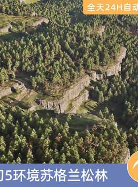 UE5虚幻5素材模型环境场景资产模块化苏格兰松林松树自然植物季节