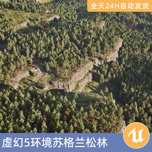 UE5虚幻5素材模型环境场景资产模块化苏格兰松林松树自然植物季节