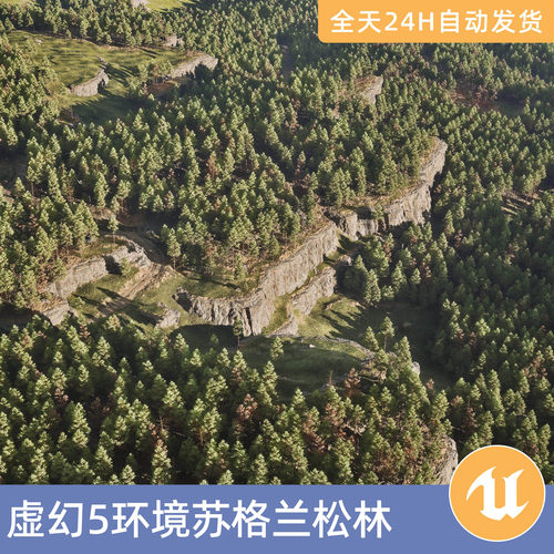 UE5虚幻5素材模型环境场景资产模块化苏格兰松林松树自然植物季节