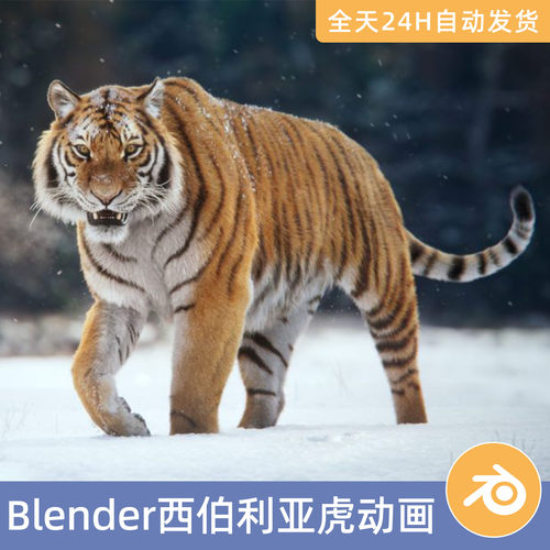 Blender素材模型资源资产逼真西伯利亚虎动画3D动物绑定4K东北老