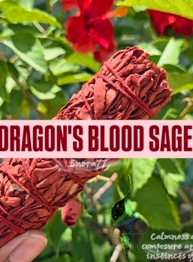 加州鼠尾草龙血竭粉 Sage熏香室内叶子 天然植物 水晶消磁
