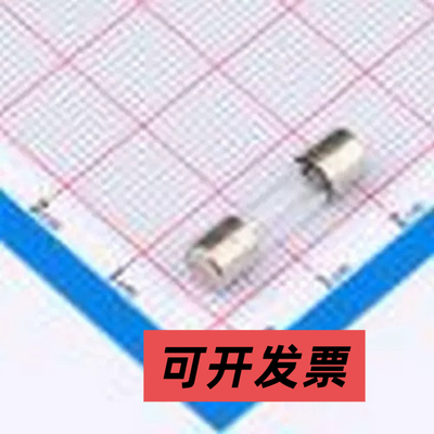 STC1600 一次性保险丝 玻璃管式 6.0A 250V 慢断5*20保险丝 插件,