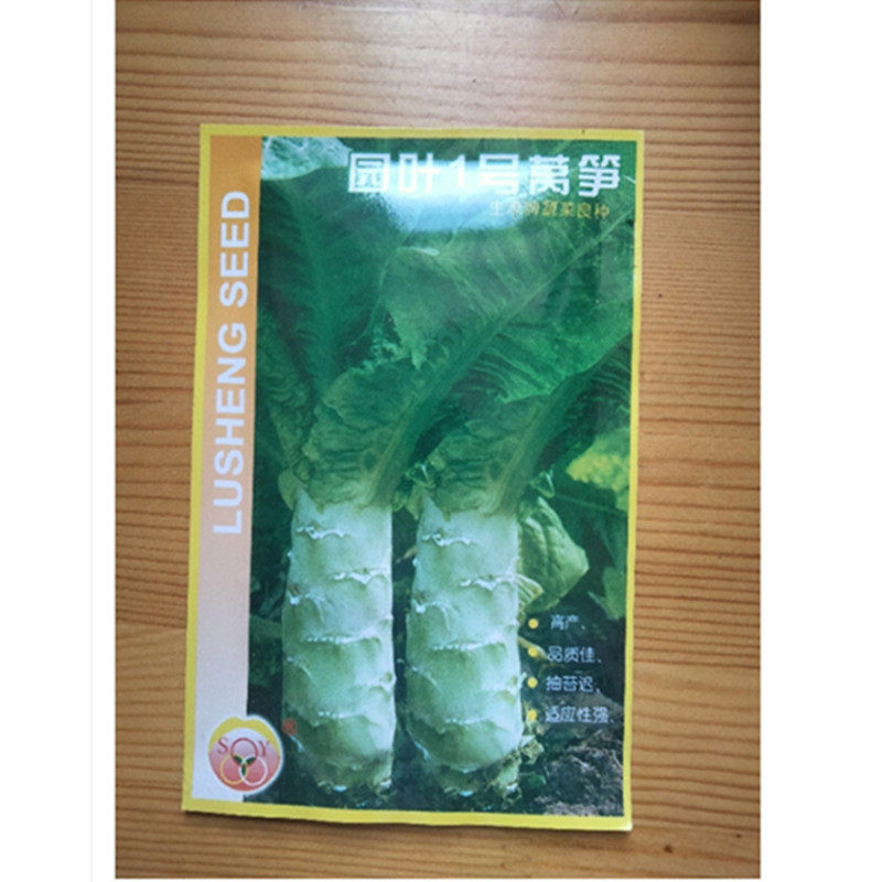 云南蔬菜种子莴笋绿生春季播菜籽