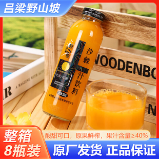 吕梁野山坡生榨沙棘汁350ml 玻璃瓶果汁饮料山西特产整箱 8瓶装
