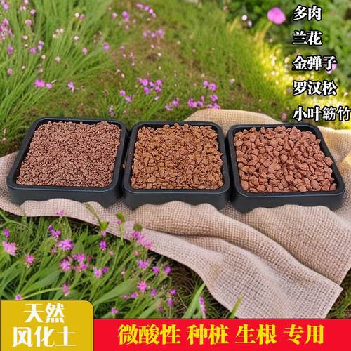 适用生根营养风化土盆景石