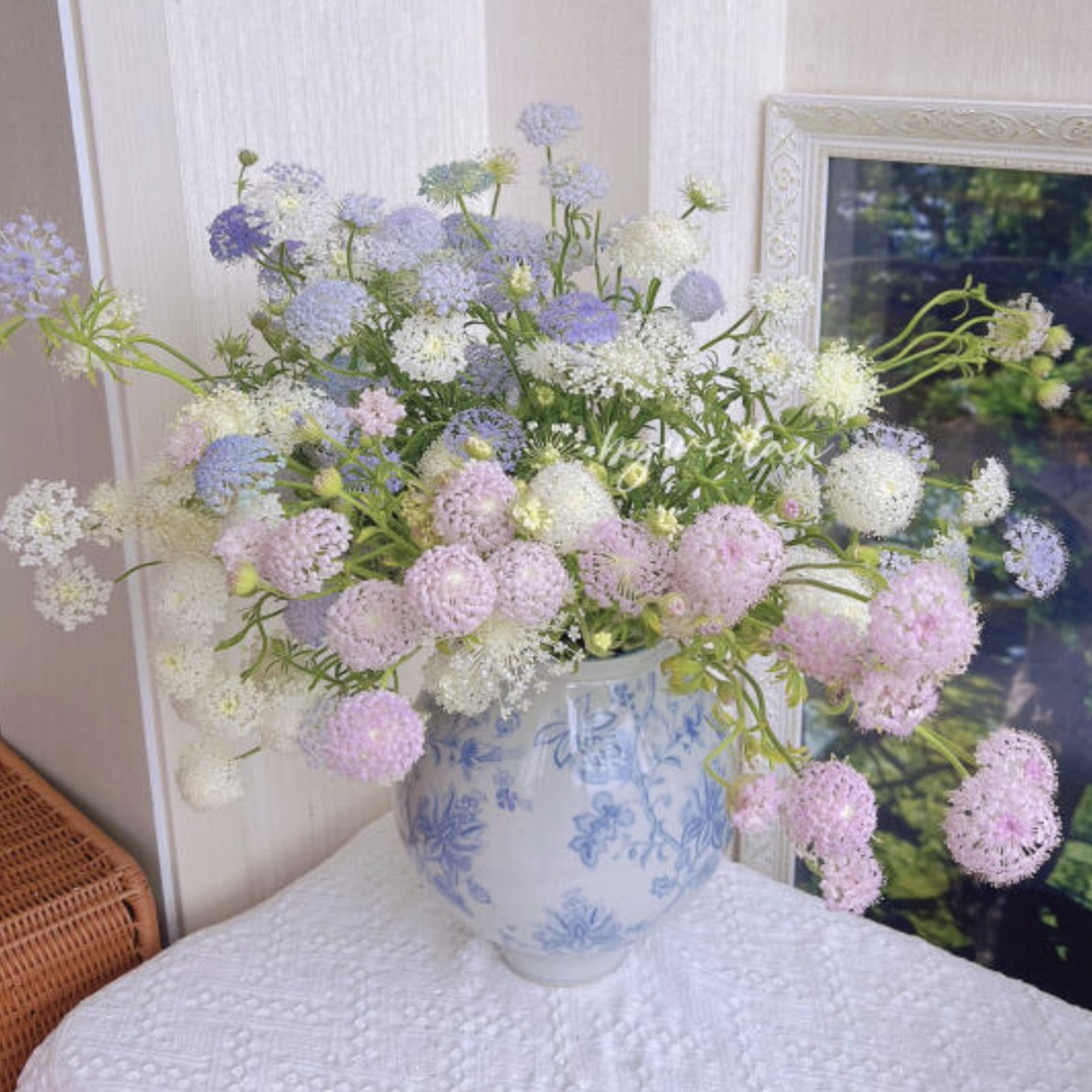 「翠珠」神仙草花（2单包邮）