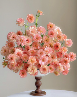 「鲑鱼粉」蝴蝶洋牡丹