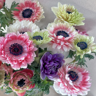 短腿「重瓣银莲花」1扎（0度地区拍保温，冻坏不售后）