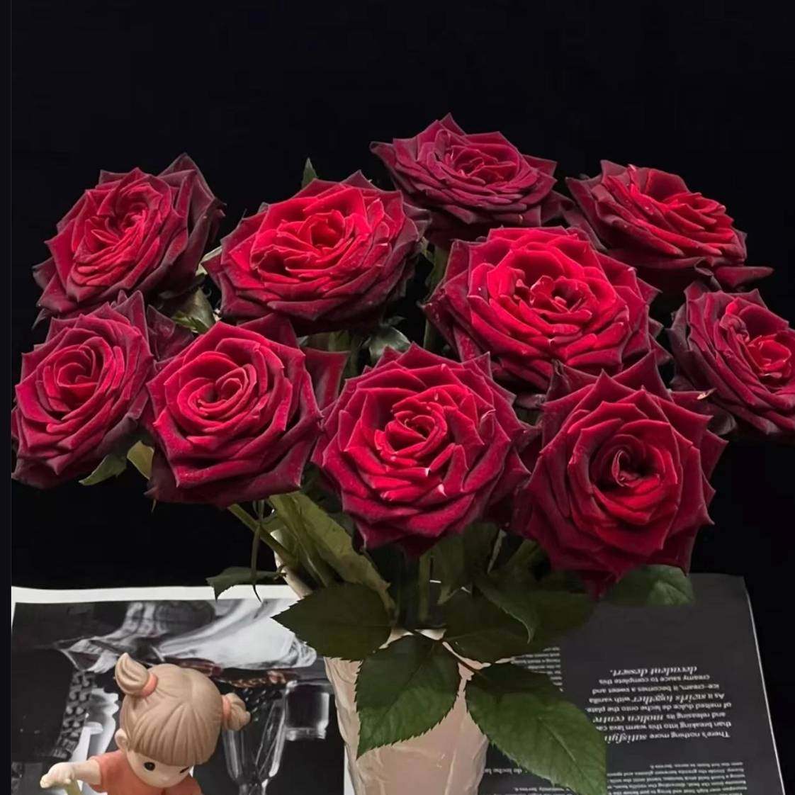 朵拉玫瑰「黑巴克」10支（2单中通3单顺丰）