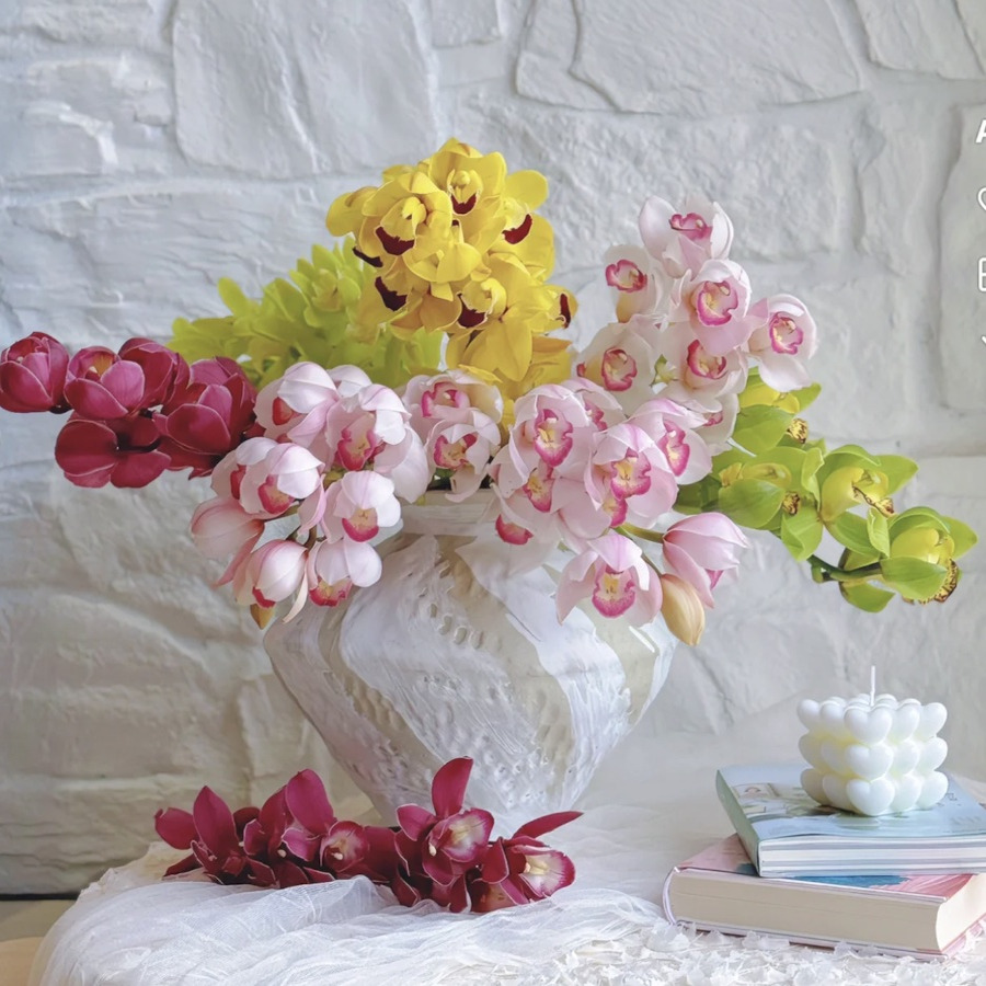 大花蕙兰「多色可选」（2单中通3单顺丰）