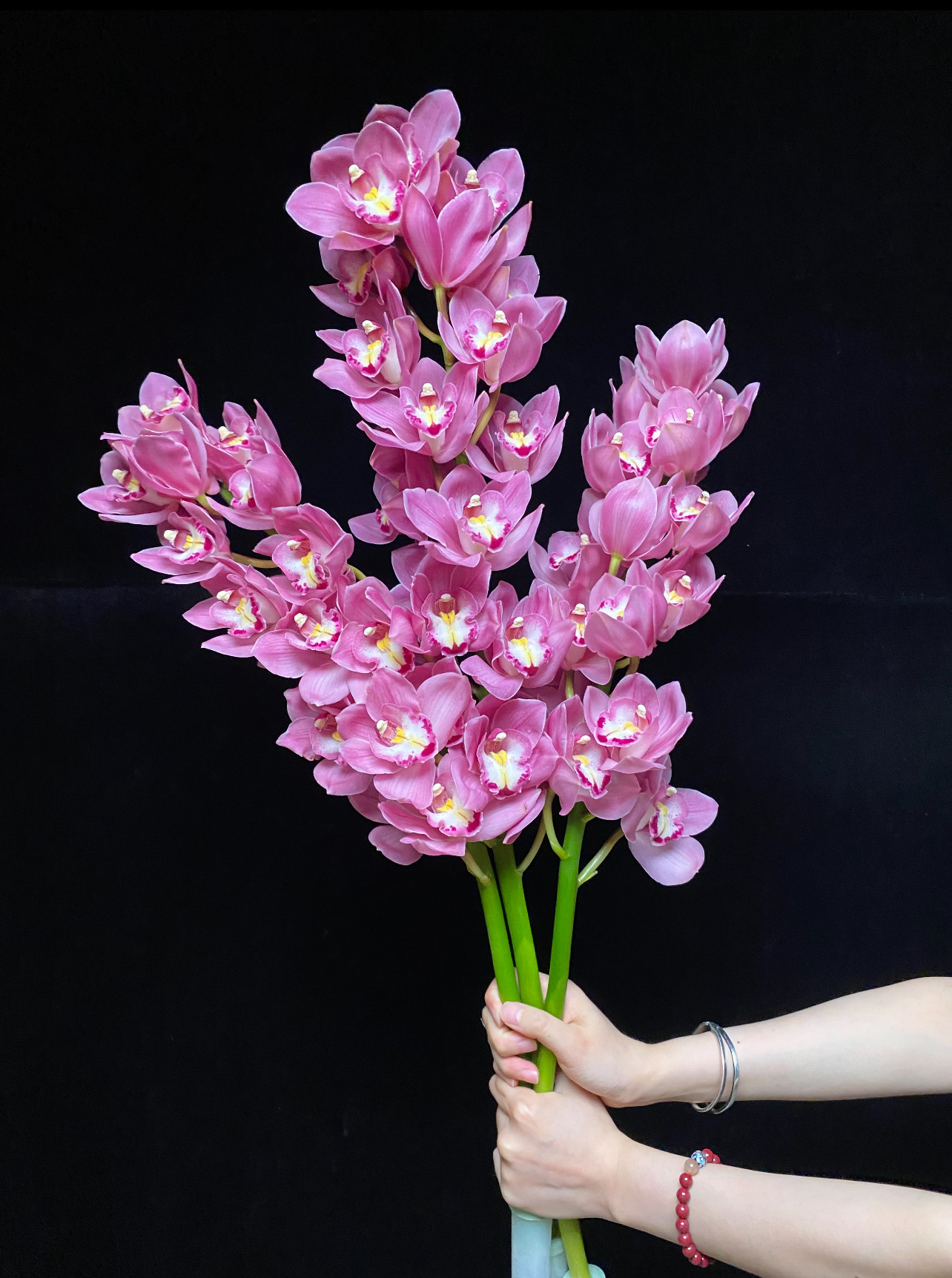 出口级大花惠兰「深粉色」1支（0度地区拍保温·否则冻坏不售后）,鲜花速递/花卉仿真/绿植园艺,花材,淘宝优惠券,粉丝福利购,淘宝优惠卷