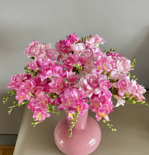 「蜜月」香雪兰2扎20支