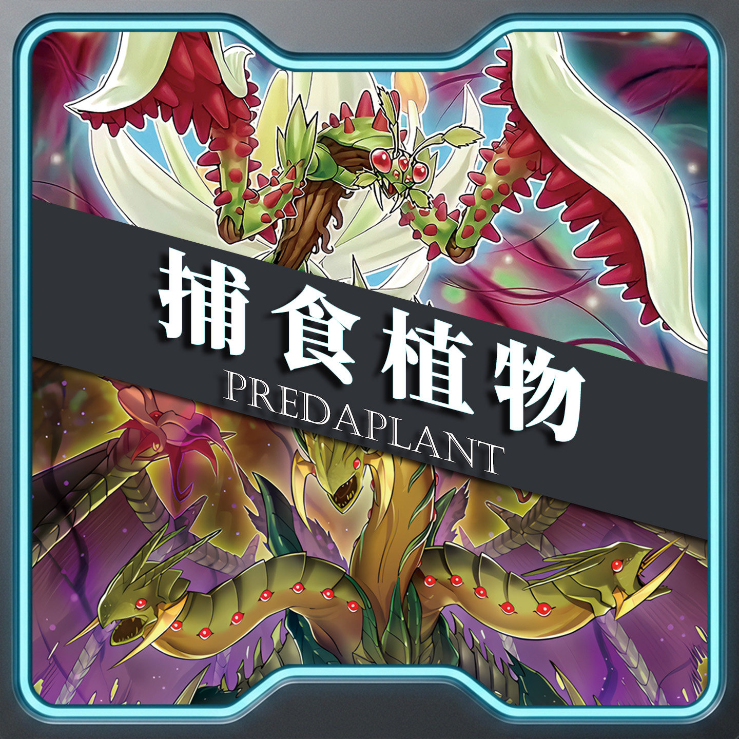 游戏王卡牌融合植物捕食卡组繁中泛用卡竞技预组上位卡组卡套