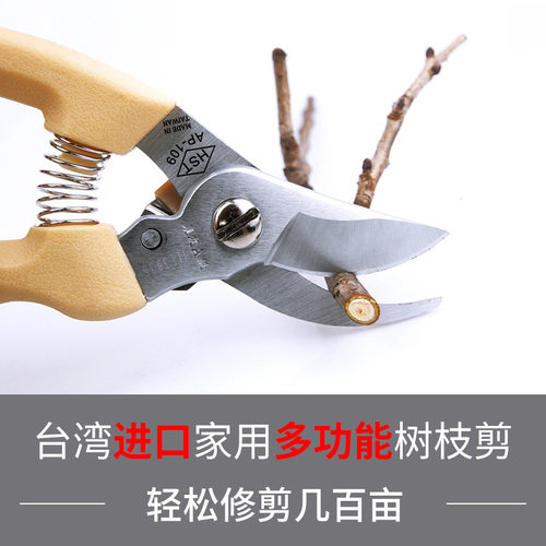 园林剪刀修枝剪树家用剪