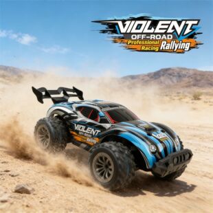 RC drift car two-wheel drive electric racing car remote cont