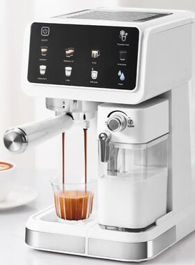 220V Italian Pump Espresso Coffee Machine Home Use Automatic