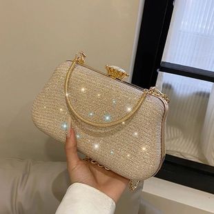 Luxury High Design Women Evening Bag Brand Party Banquet Gli