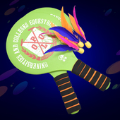 板羽球拍板球拍 板羽球拍高弹三毛球板羽球板球拍三毛球拍双拍 包邮