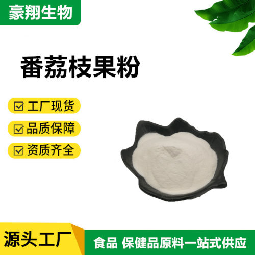 广州豪翔番荔枝果粉食品级