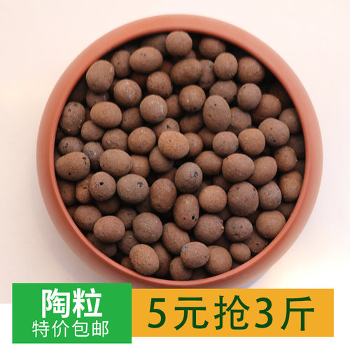 园艺陶粒花卉植物底卫生间防烂根