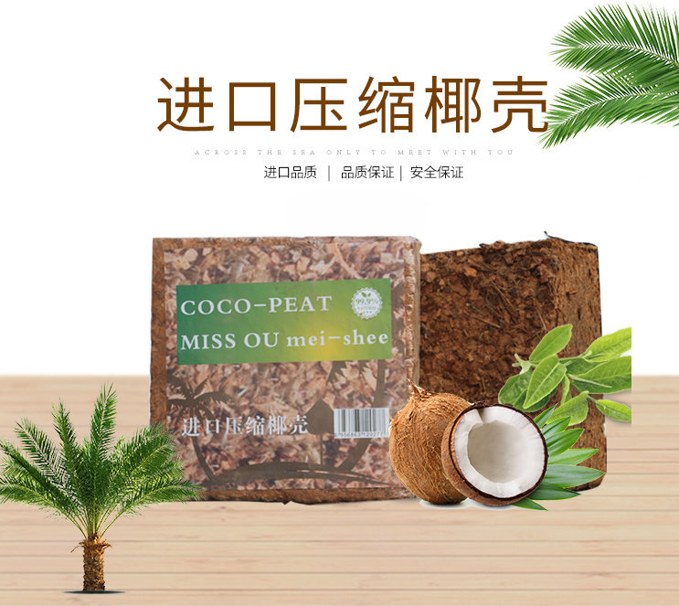 进口颗粒兰花土约4公斤