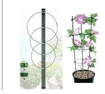 铁环花支柱多少钱 铁环花支柱优惠券免费领取 有条鱼