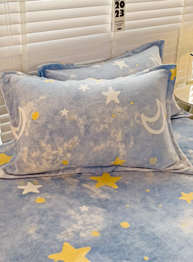 珊瑚牛奶绒枕套加绒加厚枕头套家用一对拍2男48cmx74cm枕芯内胆套