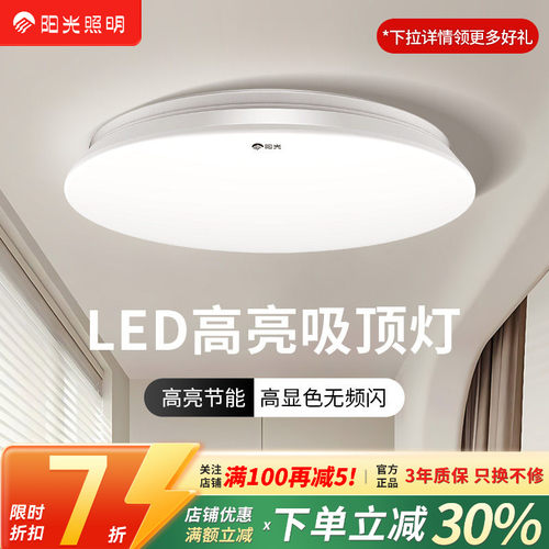 LED20卧室灯阳光新品简约