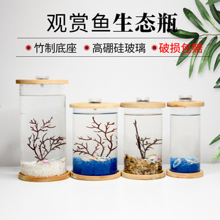 创意桌面彩灯玻璃生态鱼缸圆形微景观瓶斗鱼缸小型透明水母缸灯