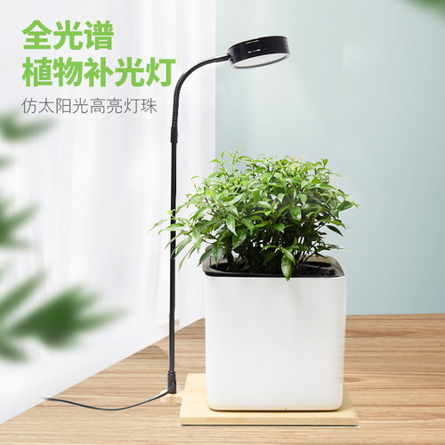 鱼缸微景观多肉植物灯新品促销