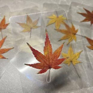 塑封成品红枫叶创意尼泊尔干花渐变色天然枫叶标本礼物真树叶书签